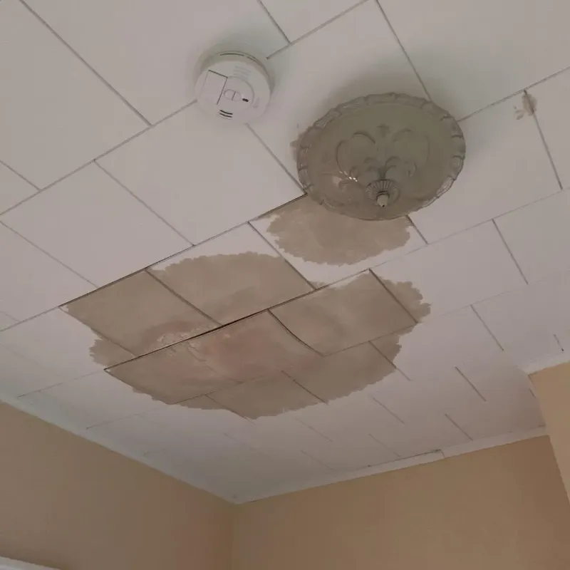 Ceiling Water Damage Repair in Meridian, MS