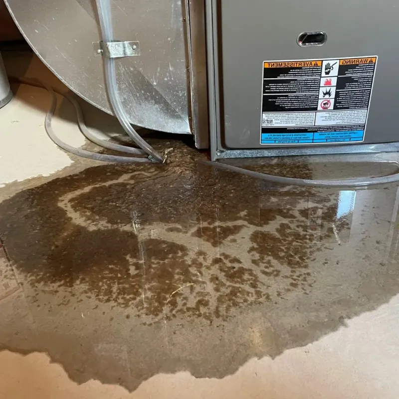 Pipe Burst and Leak Restoration in Meridian, MS