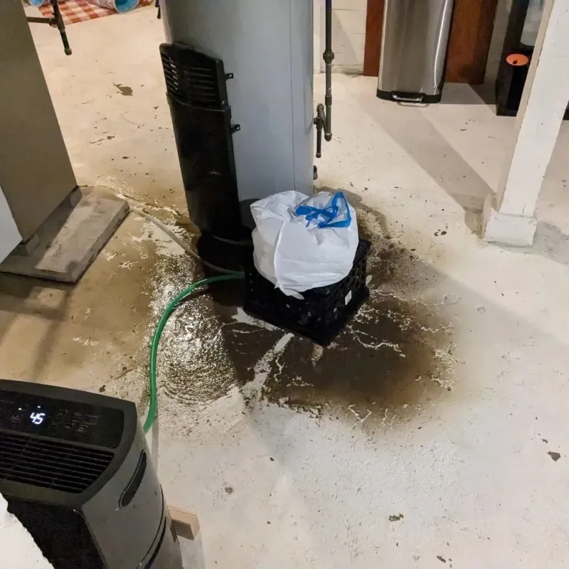 Sewage Backup Cleanup Service in Meridian, MS